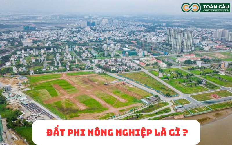 Tìm hiểu về đất phi nông nghiệp - Những điều cần lưu ý